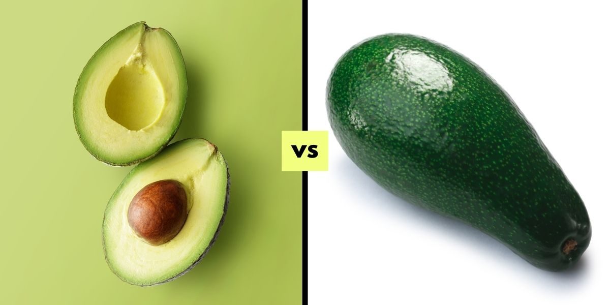 Hass avocados vs Avocado: what&rsquo;s the difference? - Avocado Foodie